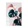 thumbnail image 1 of Trademark Fine Art Pictufy Studio Monstera Creative 17 Canvas Wall Art, 1 of 4