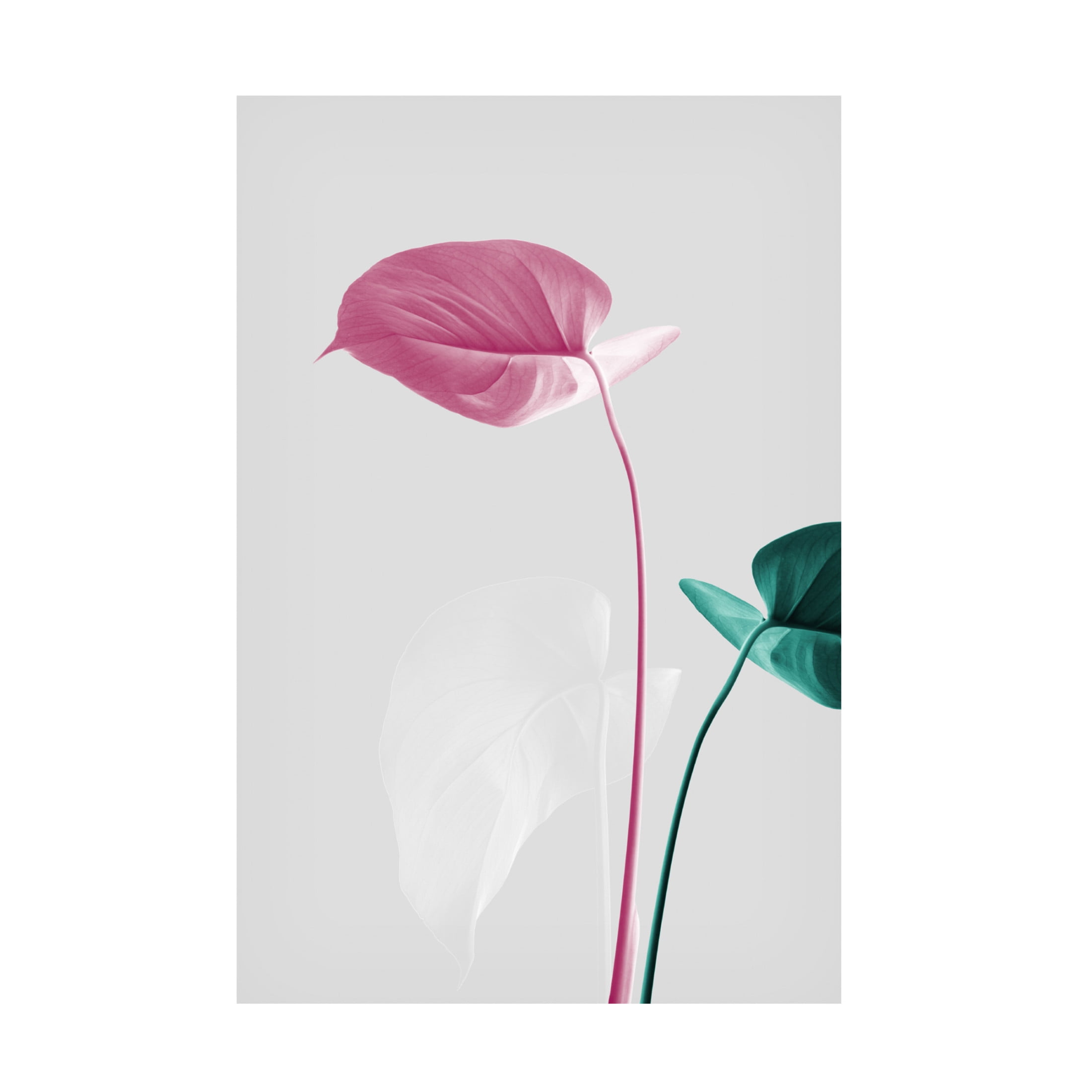 Trademark Fine Art Pictufy Studio Monstera Creative 18 Canvas Wall Art