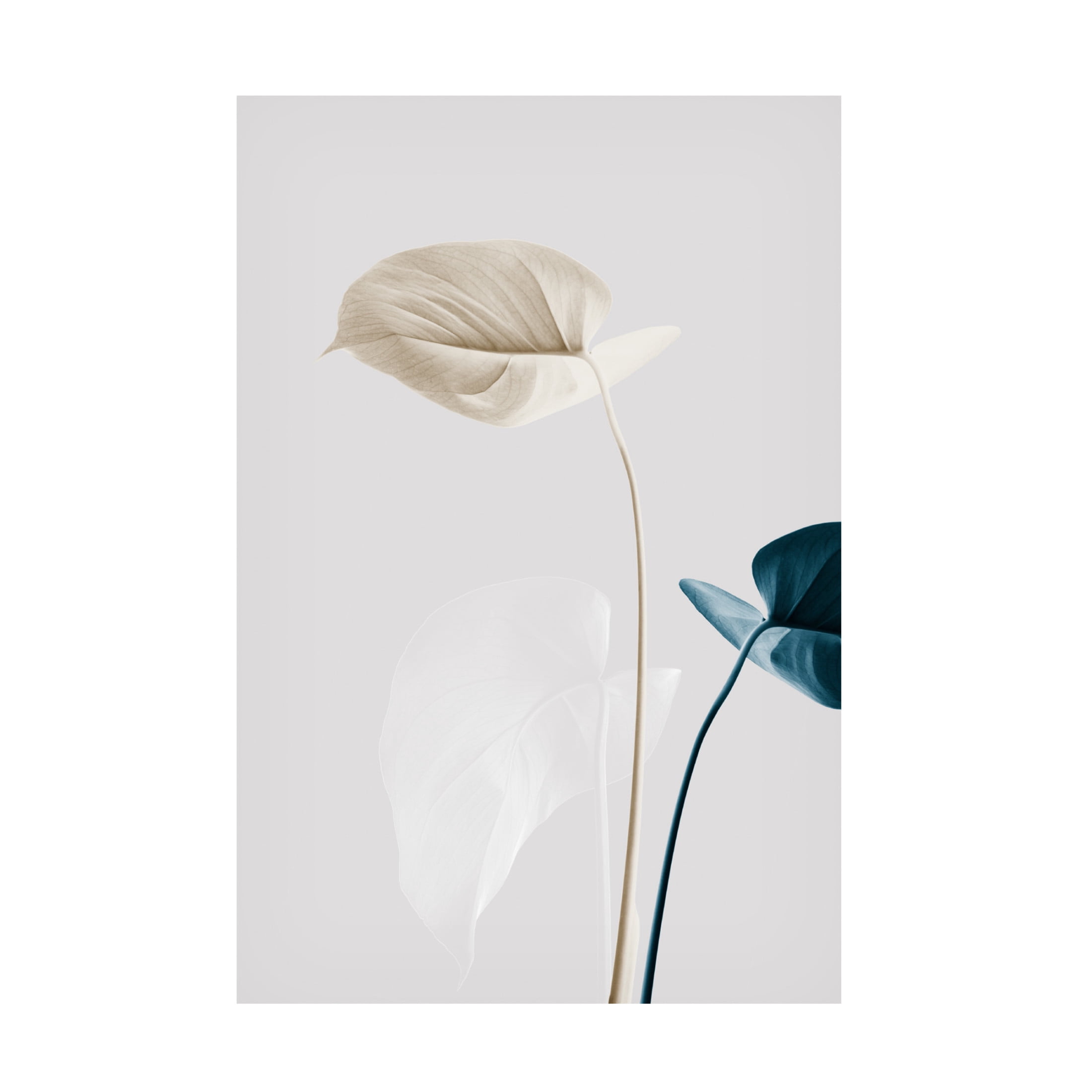Trademark Fine Art Pictufy Studio Monstera Creative 22 Canvas Wall Art