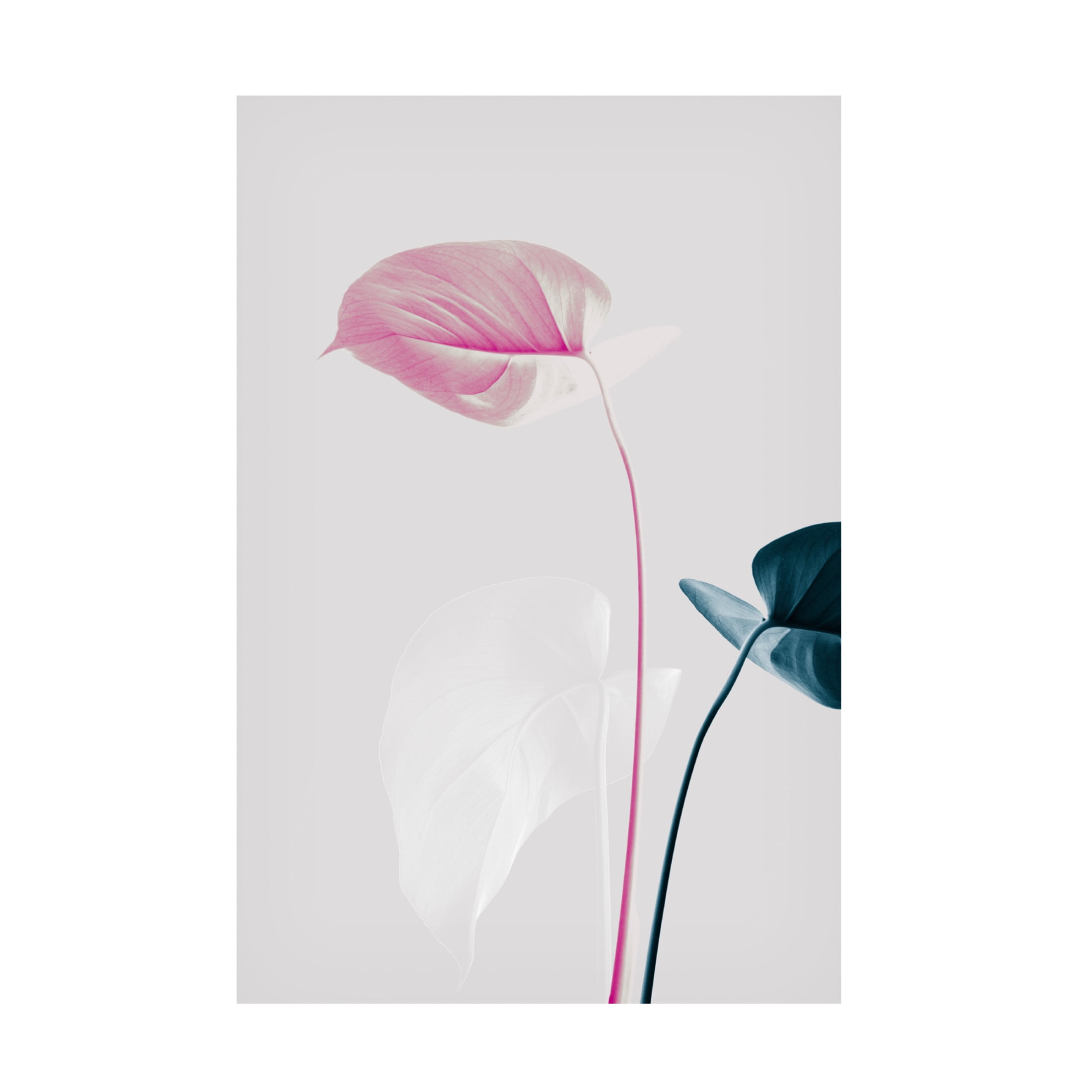 Trademark Fine Art Pictufy Studio Monstera Creative 24 Canvas Wall Art