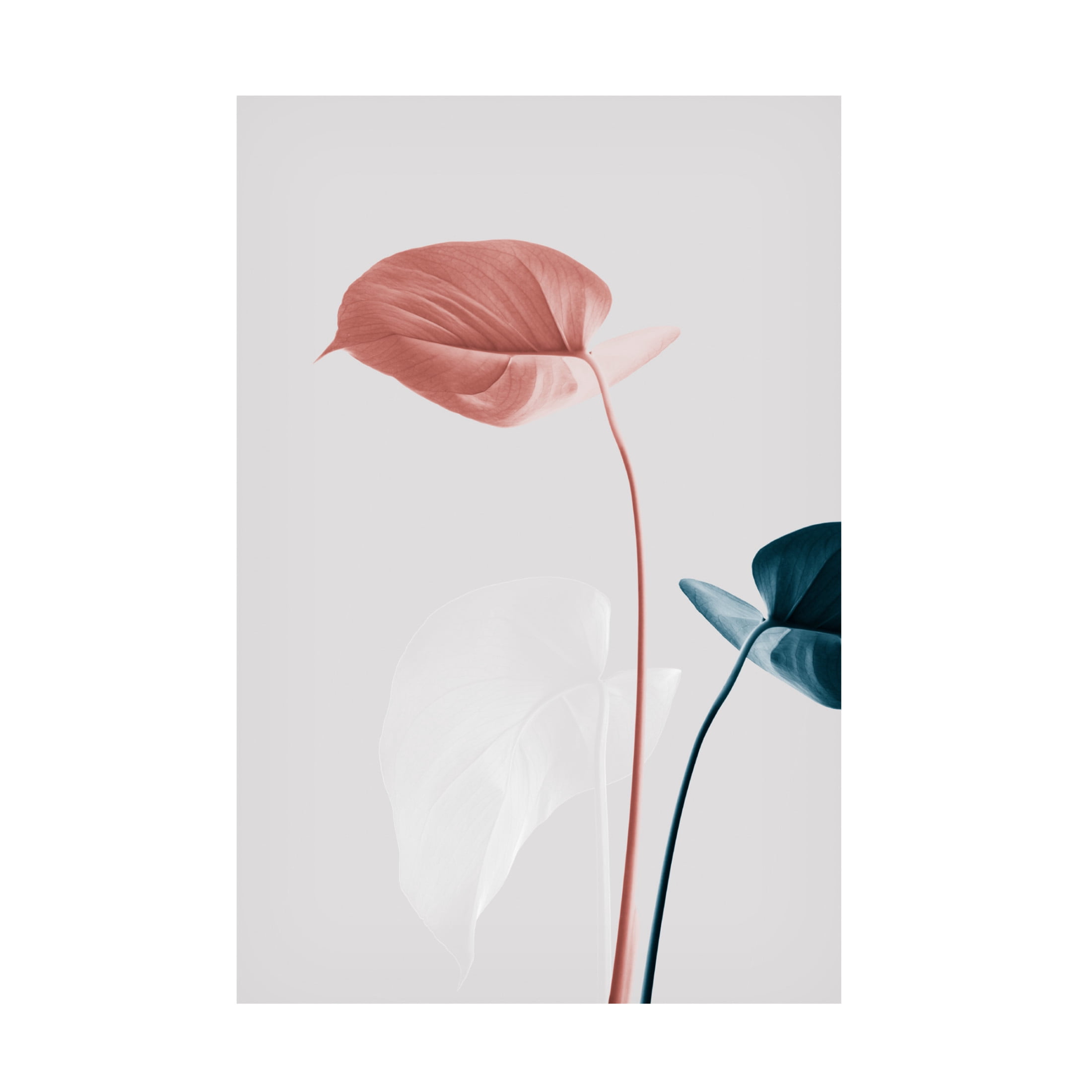 Trademark Fine Art Pictufy Studio Monstera Creative 25 Canvas Wall Art