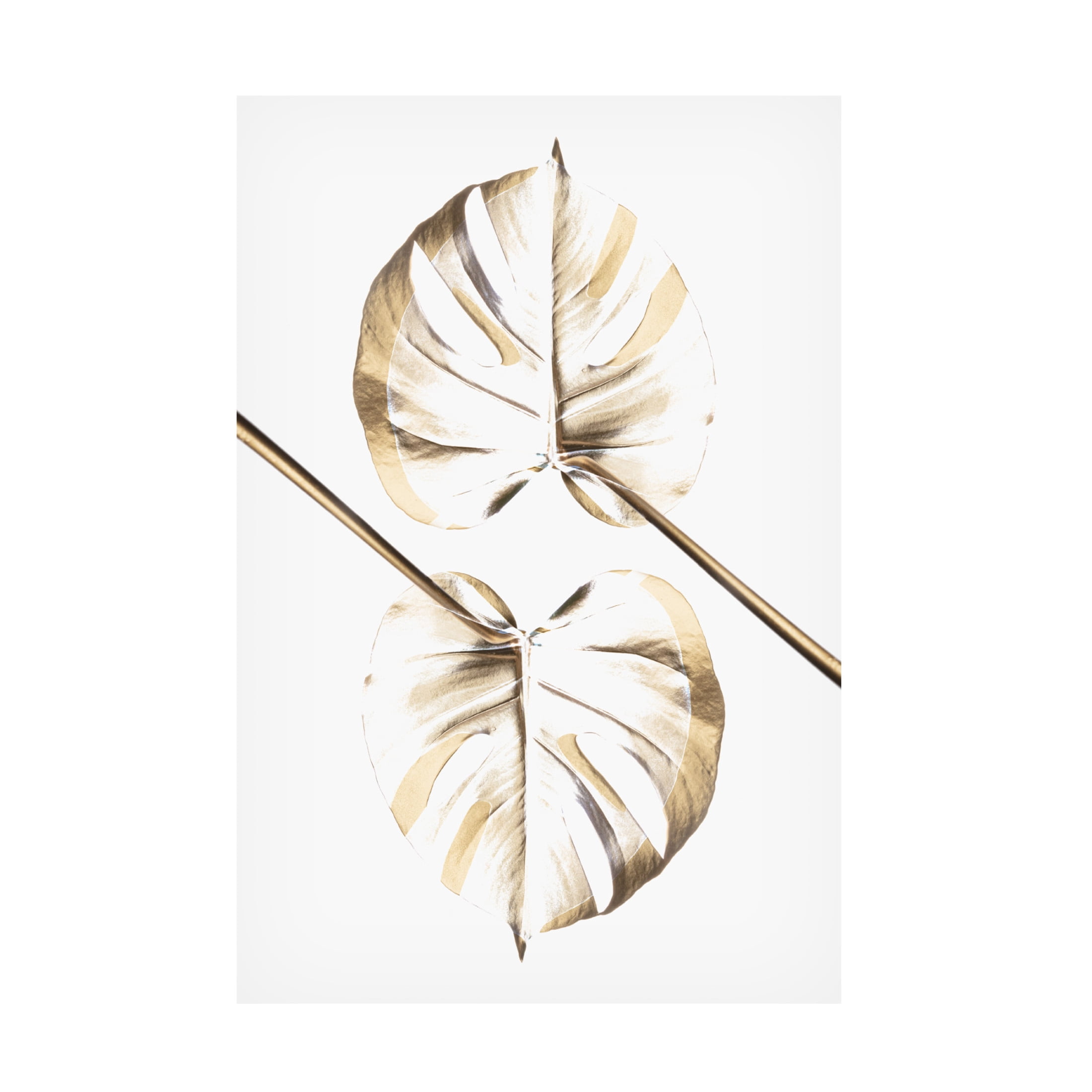 Trademark Fine Art Pictufy Studio Monstera Gold 10 Canvas Wall Art