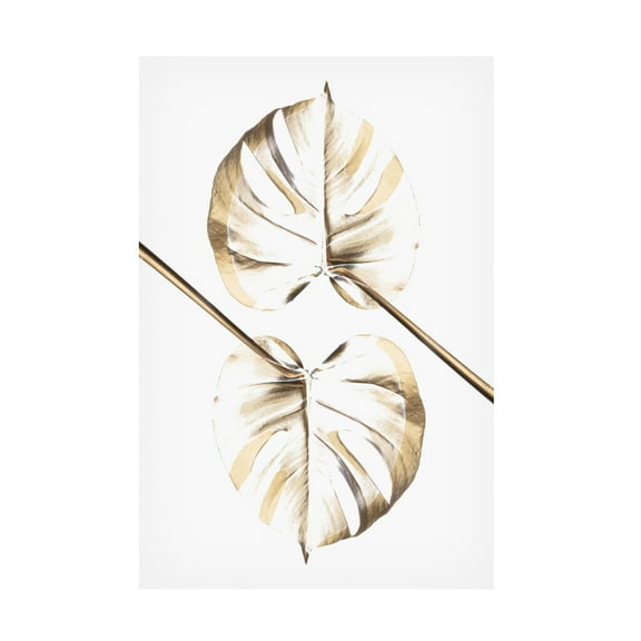 Trademark Fine Art Pictufy Studio Monstera Gold 10 Canvas Wall Art