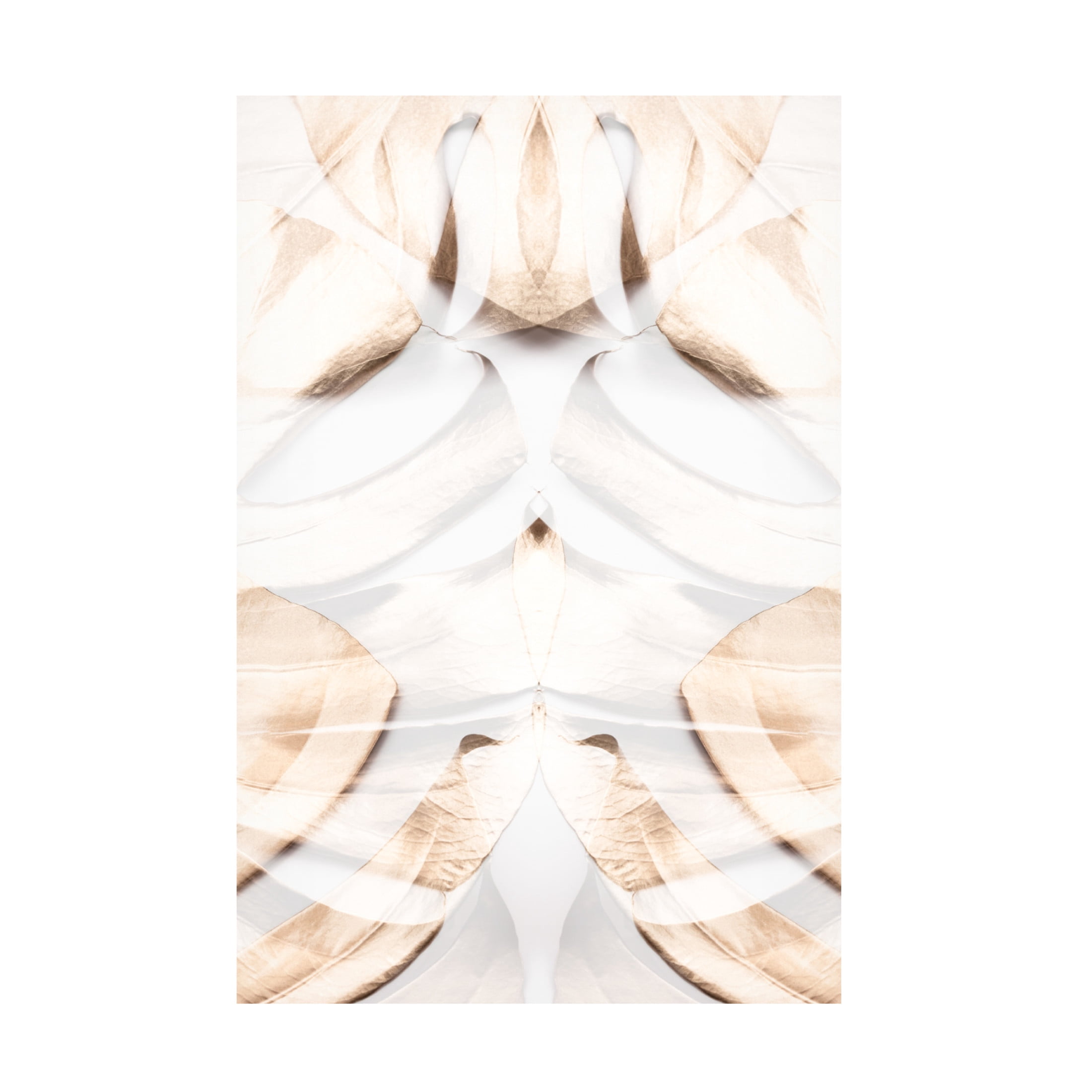 Trademark Fine Art Pictufy Studio Monstera Gold 12 Canvas Wall Art