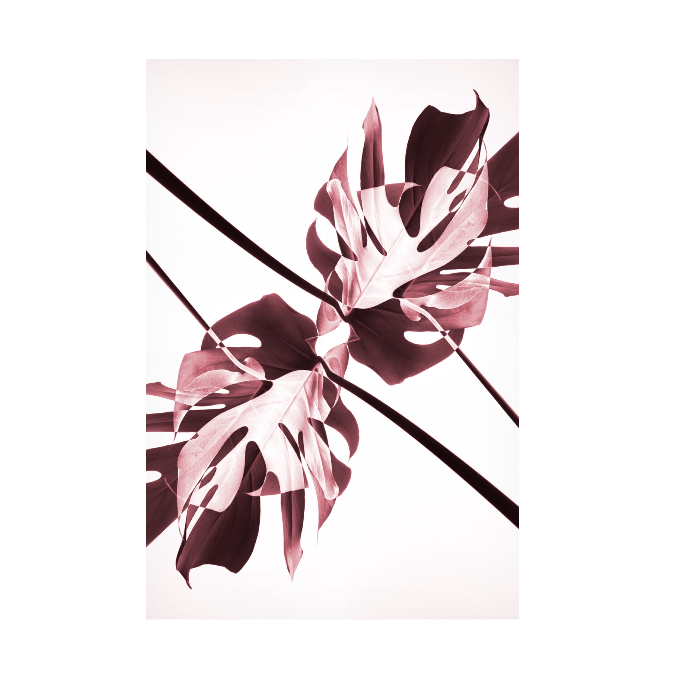 Trademark Fine Art Pictufy Studio Monstera Kaleidoscope 02 Canvas Wall Art
