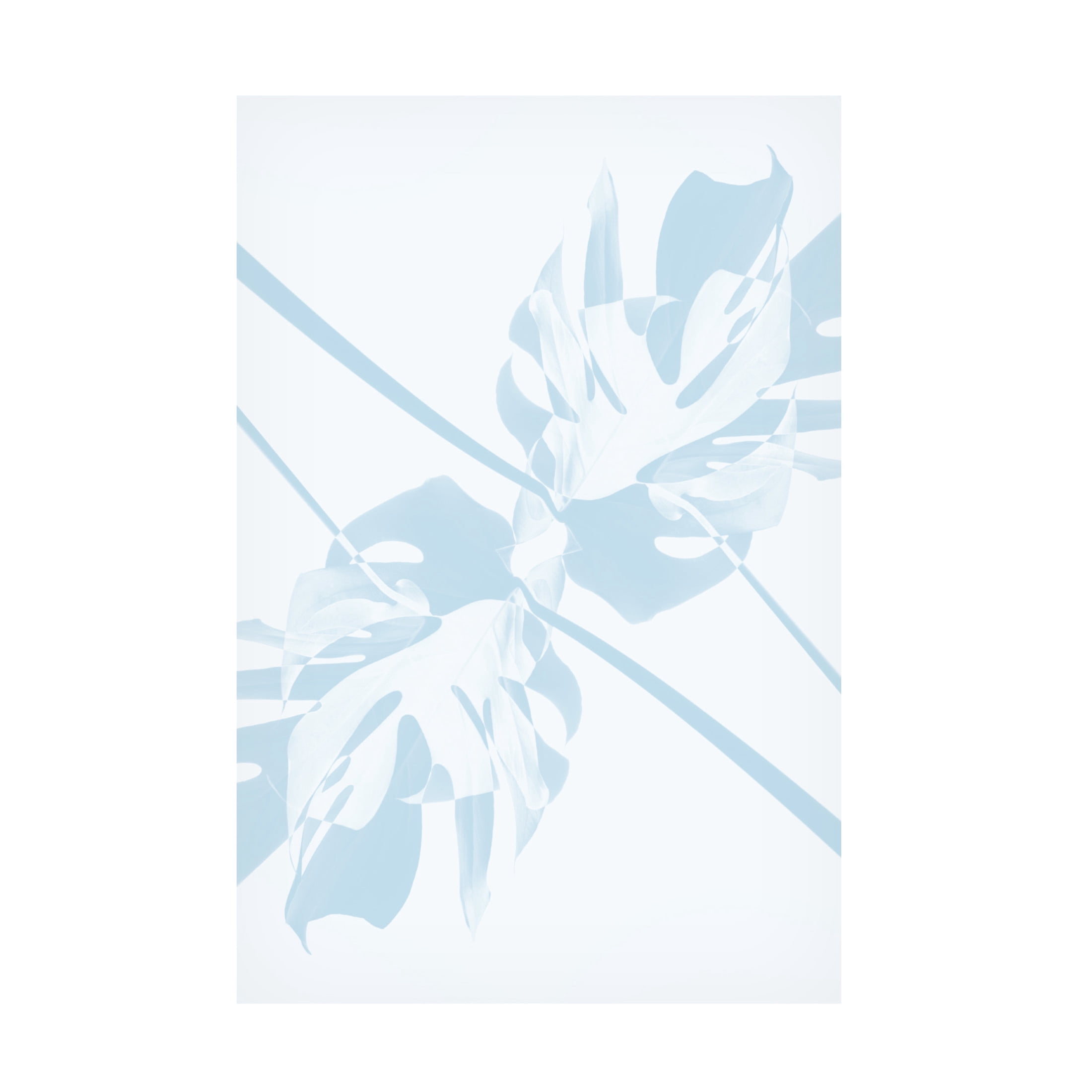 Trademark Fine Art Pictufy Studio Monstera Kaleidoscope 06 Canvas Wall Art
