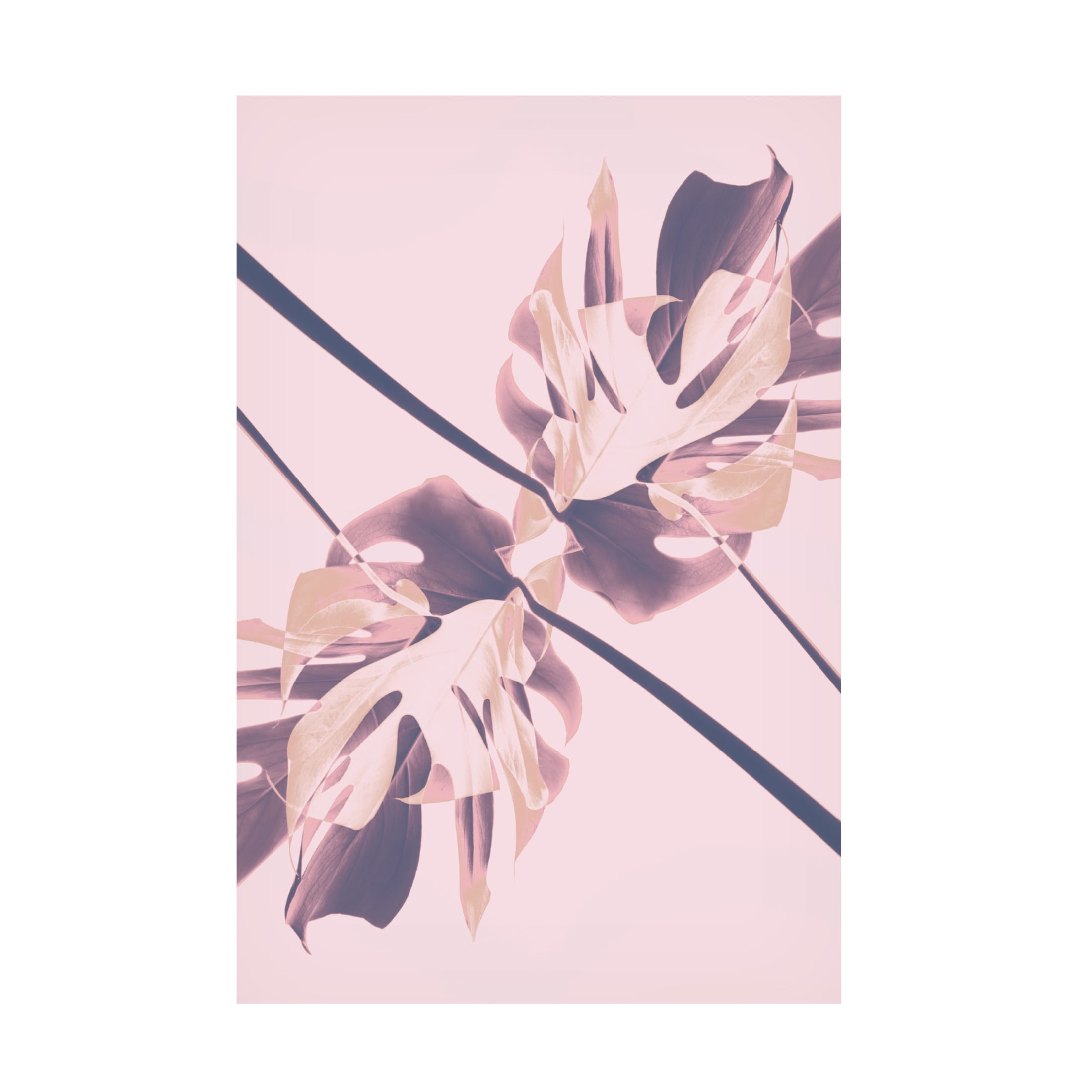 Trademark Fine Art Pictufy Studio Monstera Kaleidoscope 07 Canvas Wall Art