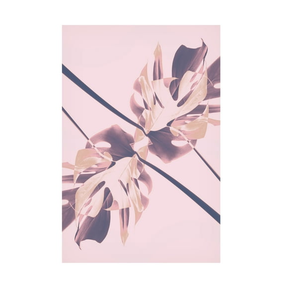 Trademark Fine Art Pictufy Studio Monstera Kaleidoscope 07 Canvas Wall Art