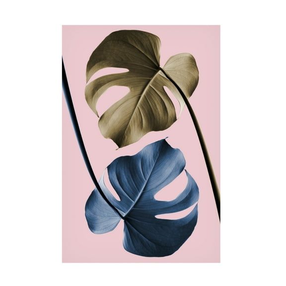 Trademark Fine Art Pictufy Studio Monstera Pink 12 Canvas Wall Art