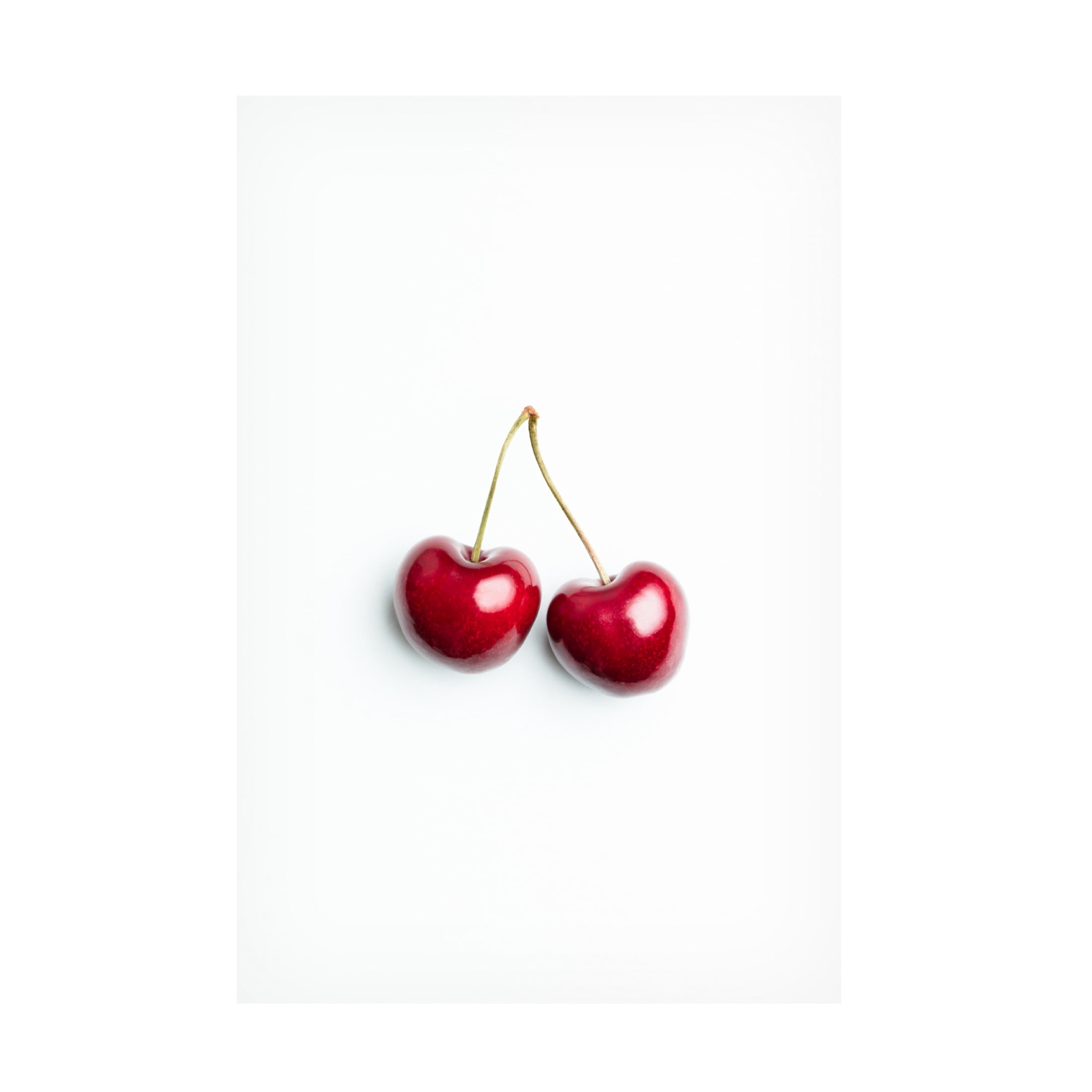 Trademark Fine Art Pictufy Studio Pair Of Cherries Canvas Wall Art