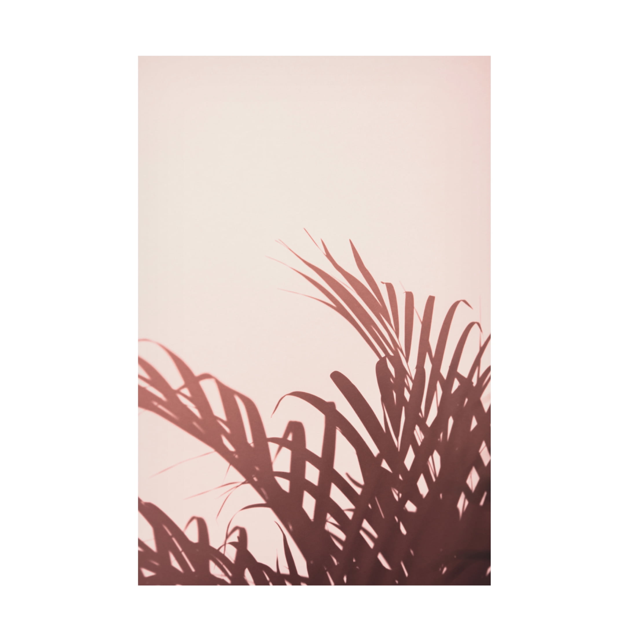 Trademark Fine Art Pictufy Studio Palm Leaves 2 Canvas Wall Art