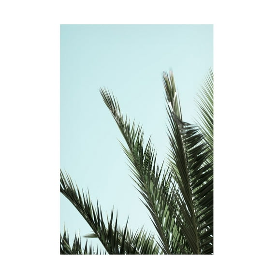 Trademark Fine Art Pictufy Studio Palm Leaves And Sky 2 Canvas Wall Art