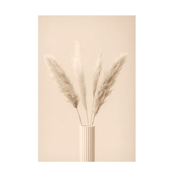 Trademark Fine Art Pictufy Studio Pampas Grass Beige 09 Canvas Wall Art