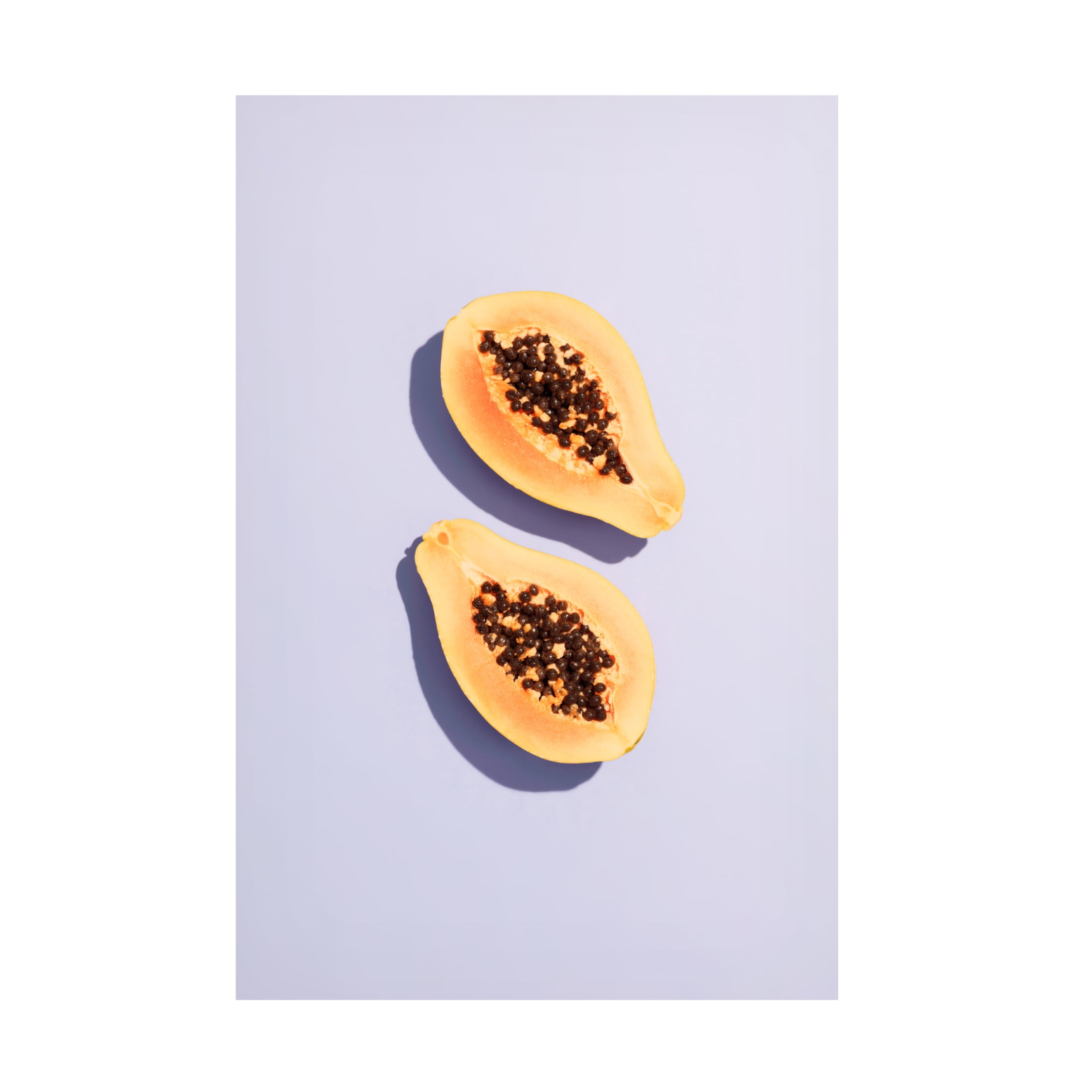 Trademark Fine Art Pictufy Studio Papaya 1 Canvas Wall Art