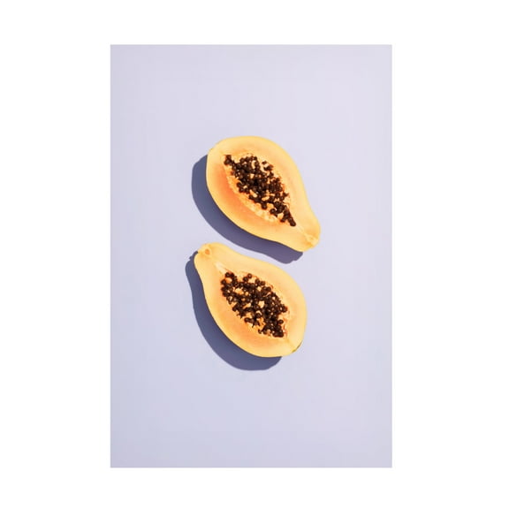 Trademark Fine Art Pictufy Studio Papaya 1 Canvas Wall Art