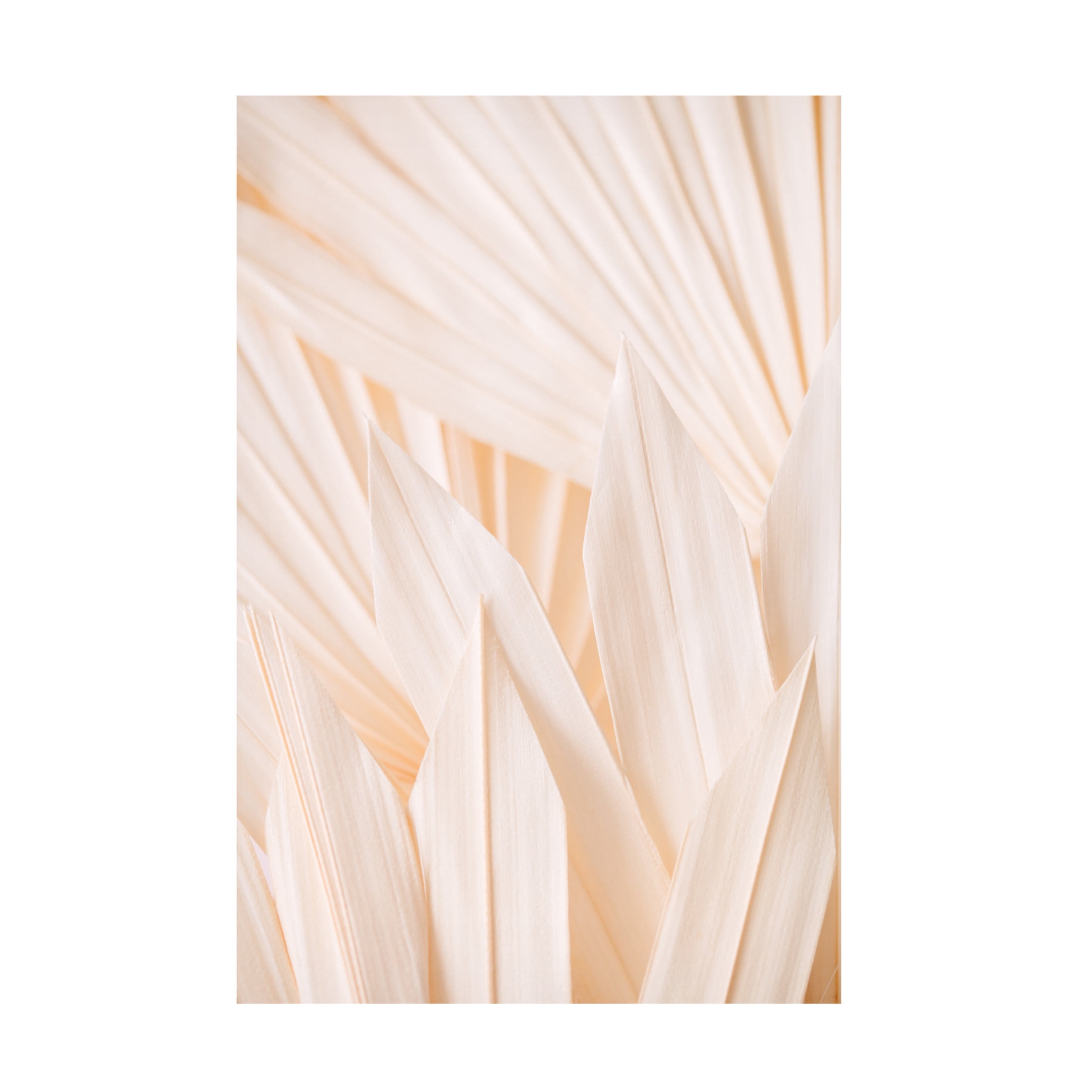 Trademark Fine Art Pictufy Studio Pattern 2 Canvas Wall Art
