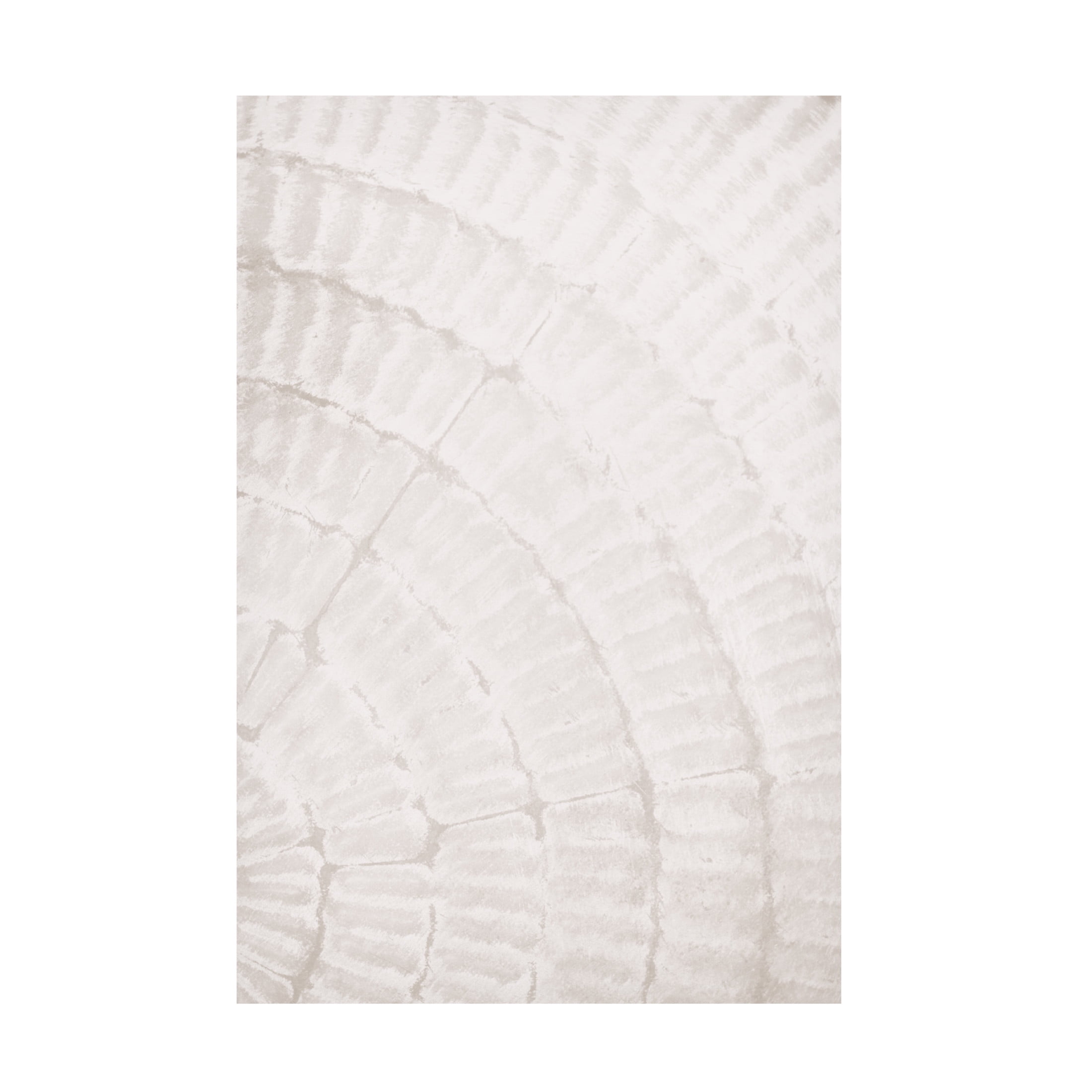 Trademark Fine Art Pictufy Studio Pattern Plate Beige 2 Canvas Wall Art