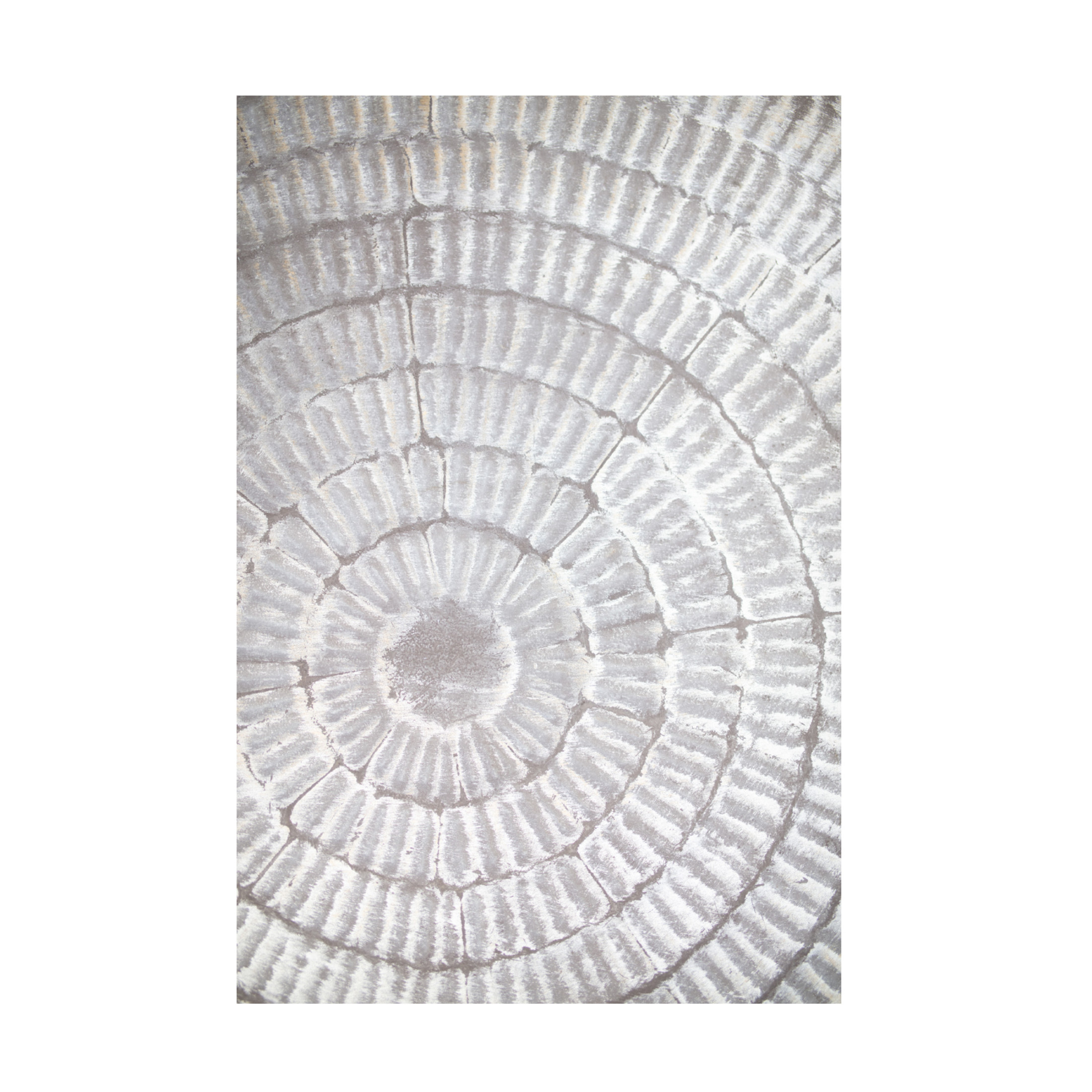 Trademark Fine Art Pictufy Studio Patternplate Grey 1 Canvas Wall Art
