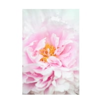Trademark Fine Art Pictufy Studio Peony 6 Canvas Wall Art