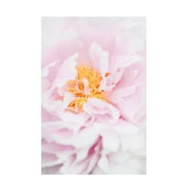 Trademark Fine Art Pictufy Studio Peony 7 Canvas Wall Art