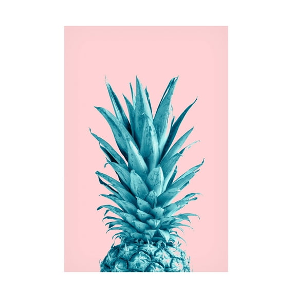 Trademark Fine Art Pictufy Studio Pineapple Pink 07 Canvas Wall Art