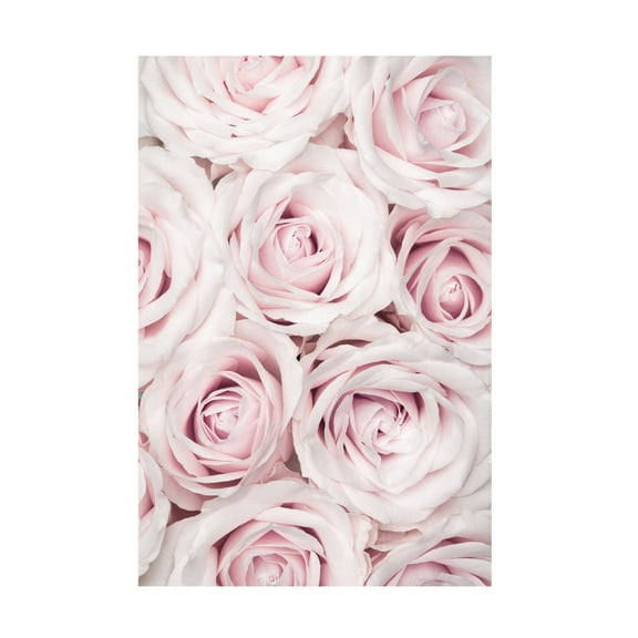 Trademark Fine Art Pictufy Studio Pink Roses No 03 Canvas Wall Art