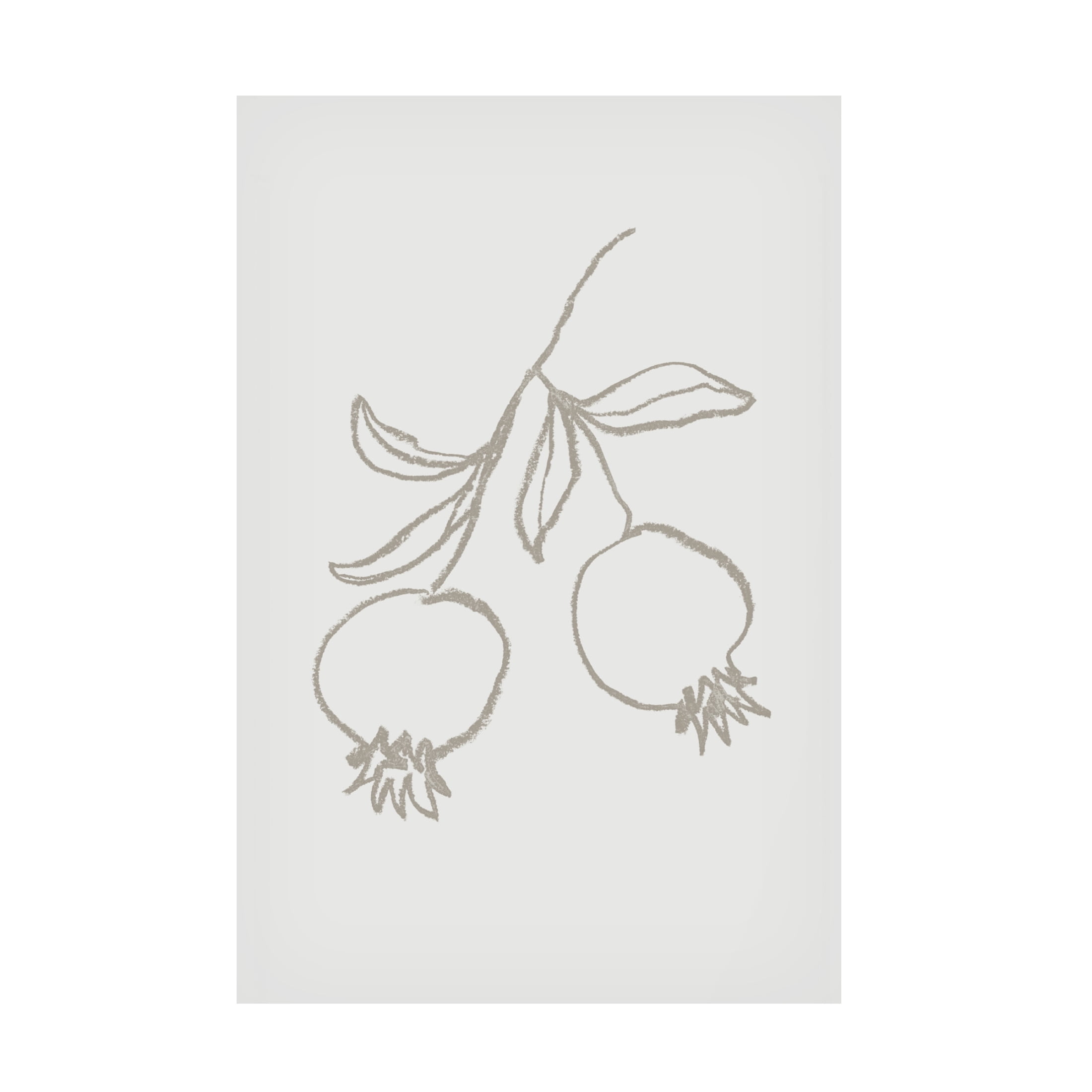Trademark Fine Art Pictufy Studio Pomegranate Green Canvas Wall Art
