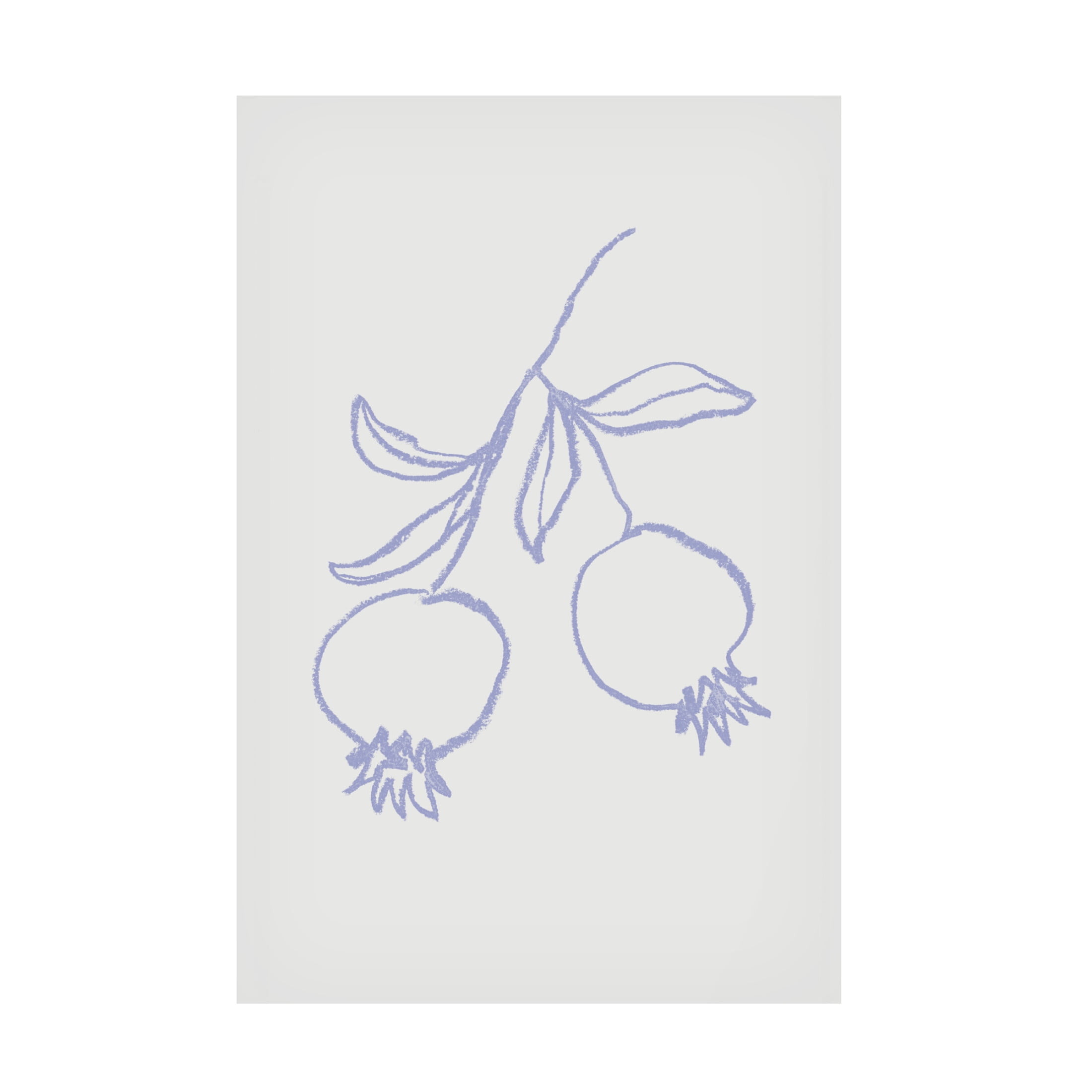 Trademark Fine Art Pictufy Studio Pomegranate Lilac Canvas Wall Art