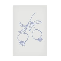 Trademark Fine Art Pictufy Studio Pomegranate Lilac Canvas Wall Art