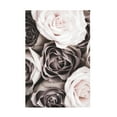 thumbnail image 1 of Trademark Fine Art Pictufy Studio Roses Canvas Wall Art, 1 of 4