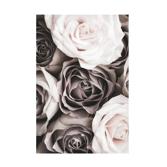 Trademark Fine Art Pictufy Studio Roses Canvas Wall Art