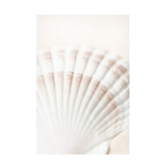 Trademark Fine Art Pictufy Studio Shell Canvas Wall Art