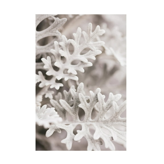 Trademark Fine Art Pictufy Studio Silver Leaves Canvas Wall Art