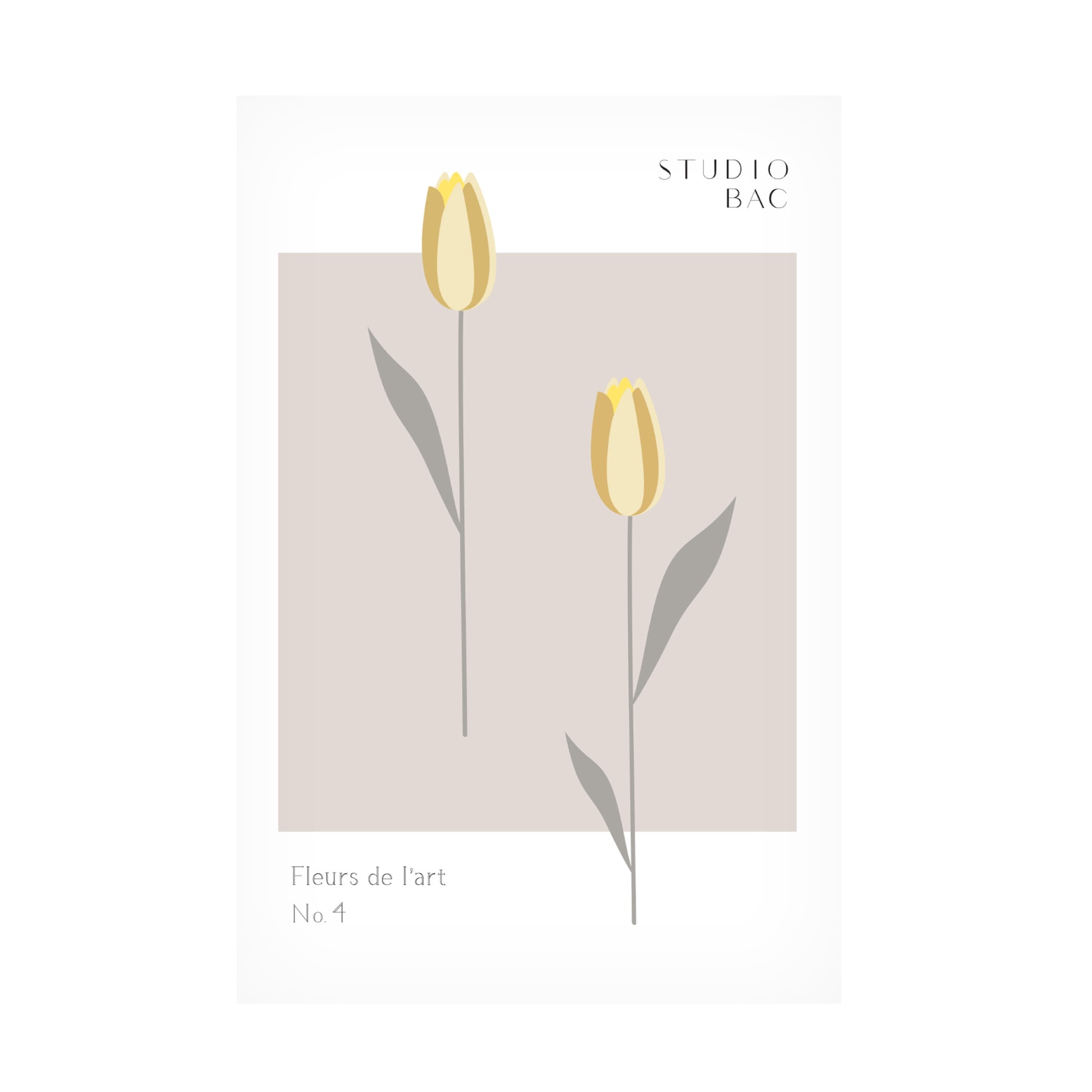 Trademark Fine Art Pictufy Studio Tulips Studio Bac Canvas Wall Art