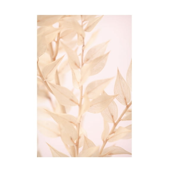 Trademark Fine Art Pictufy Studio Untitled Canvas Wall Art