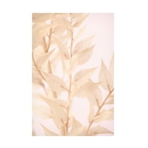 Trademark Fine Art Pictufy Studio Untitled Canvas Wall Art