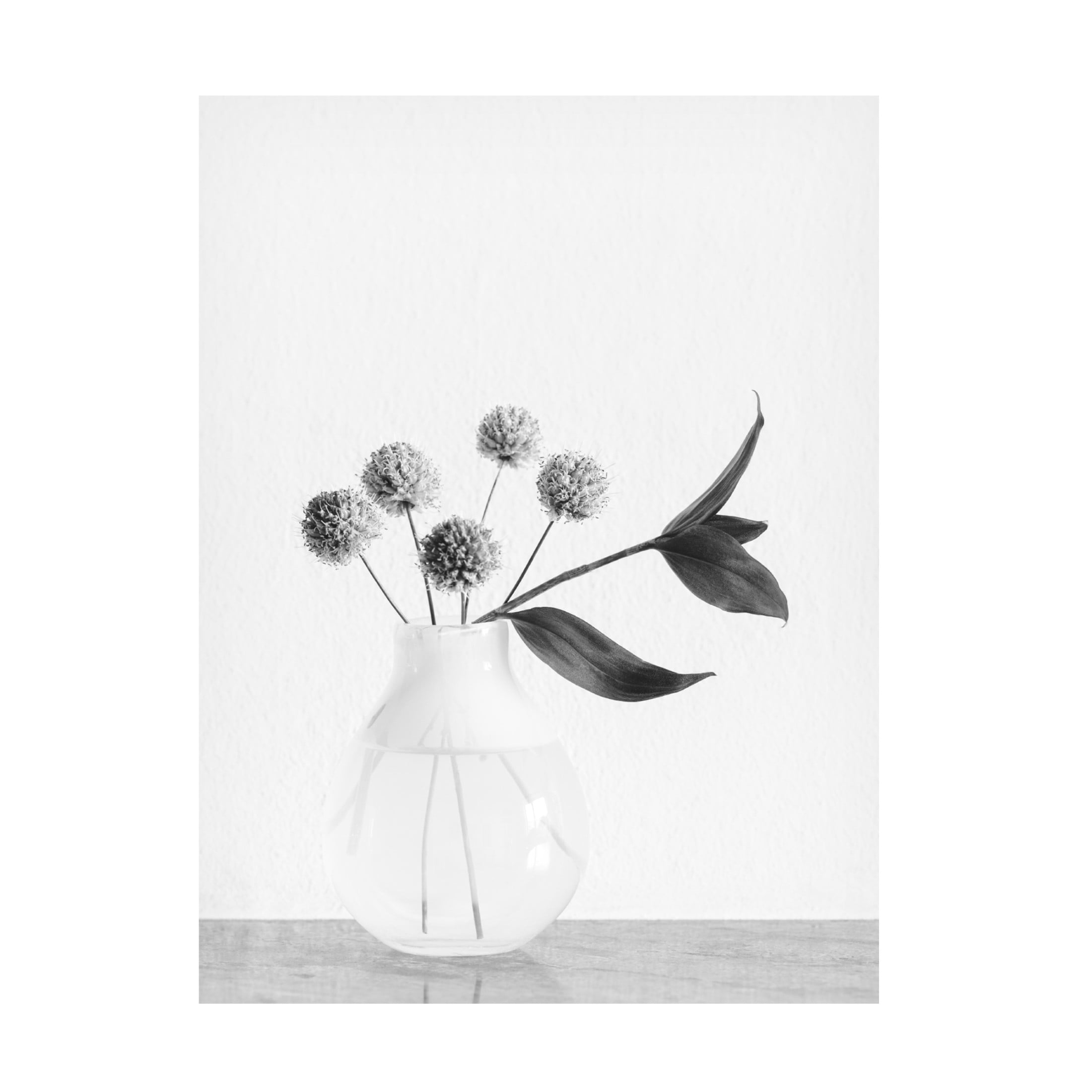 Trademark Fine Art Pictufy Studio Vase Chives Flower Canvas Wall Art