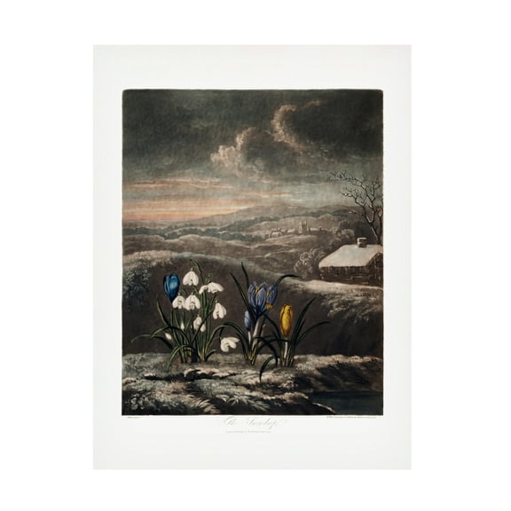 Trademark Fine Art Pictufy  The Snowdrops from The Temple of Flora 1807 Canvas Wall Art