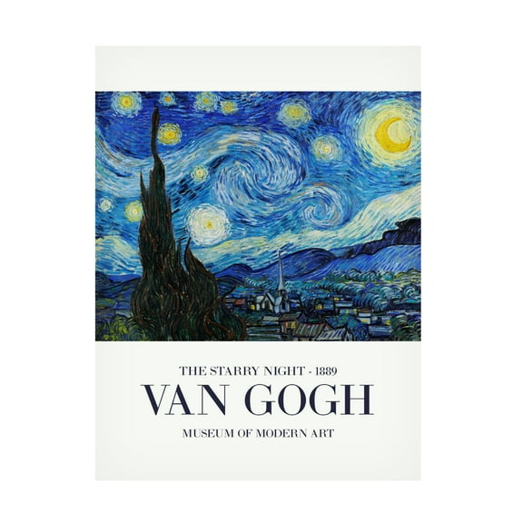 Trademark Fine Art Pictufy  The Starry Night Canvas Wall Art