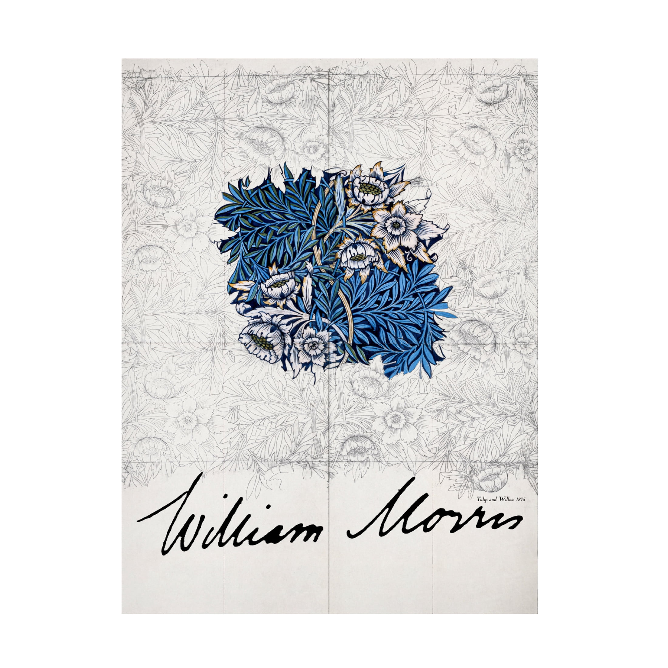 Trademark Fine Art Pictufy Tulip and Willow Canvas Wall Art