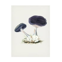 Trademark Fine Art Pictufy  Vintage Violet Webcap Mushroom Canvas Wall Art