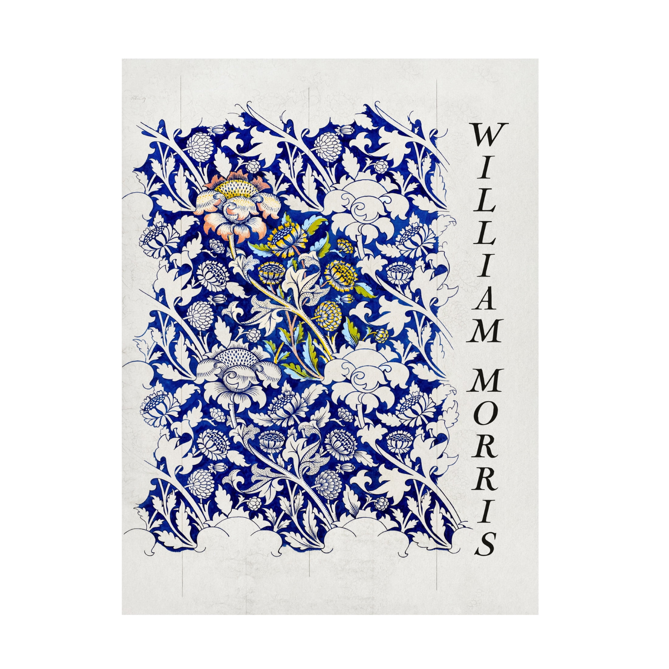 Trademark Fine Art Pictufy Wey Canvas Wall Art