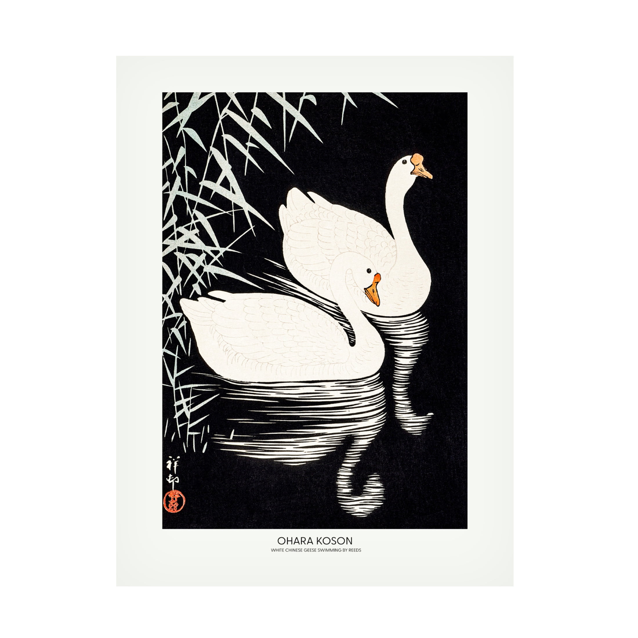 Trademark Fine Art Pictufy  White Chinese Geese Swimming by Reeds Canvas Wall Art