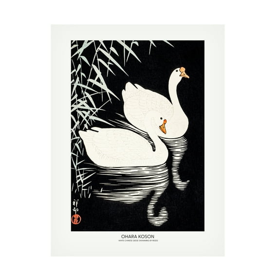 Trademark Fine Art Pictufy White Chinese Geese Swimming by Reeds Canvas Wall Art
