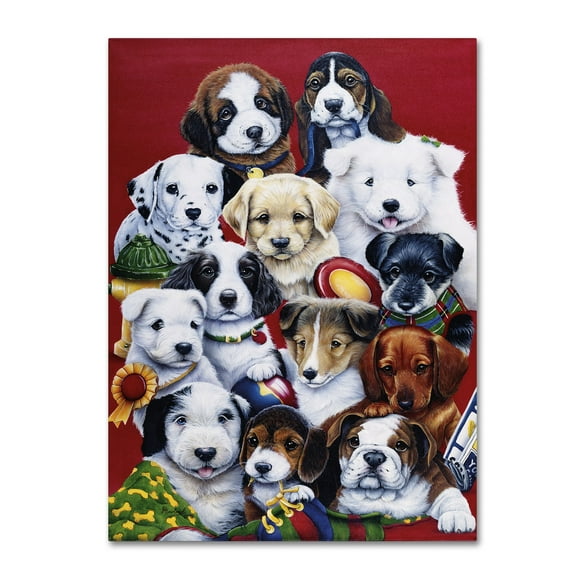 Trademark Fine Art Jenny Newland Picture Day Canvas Wall Art - 24x32