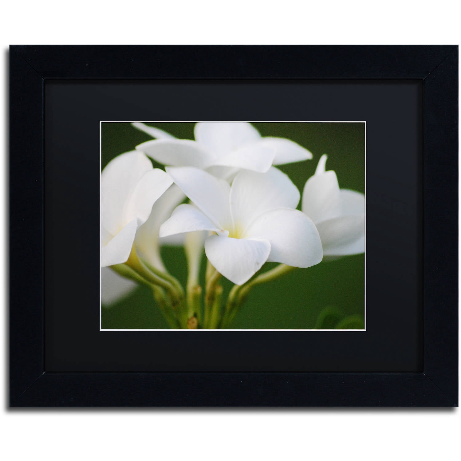 Trademark Fine Art "Picture Perfect" Canvas Art by Monica Mize, Black Matte, Black Frame