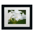 thumbnail image 1 of Trademark Fine Art "Picture Perfect" Canvas Art by Monica Mize, White Matte, Black Frame, 1 of 5
