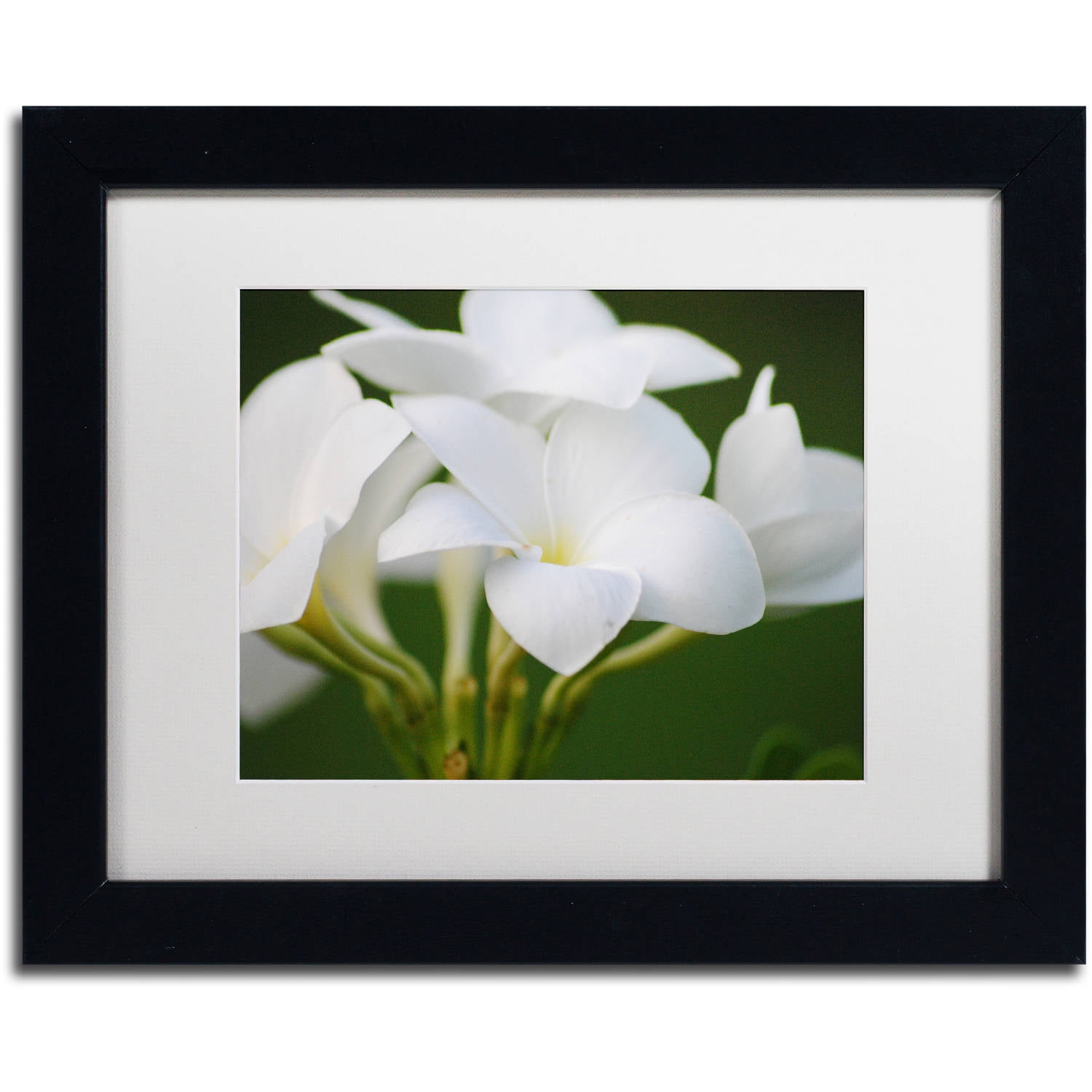 White Flower Giclee Print in Black Frame with White Mat