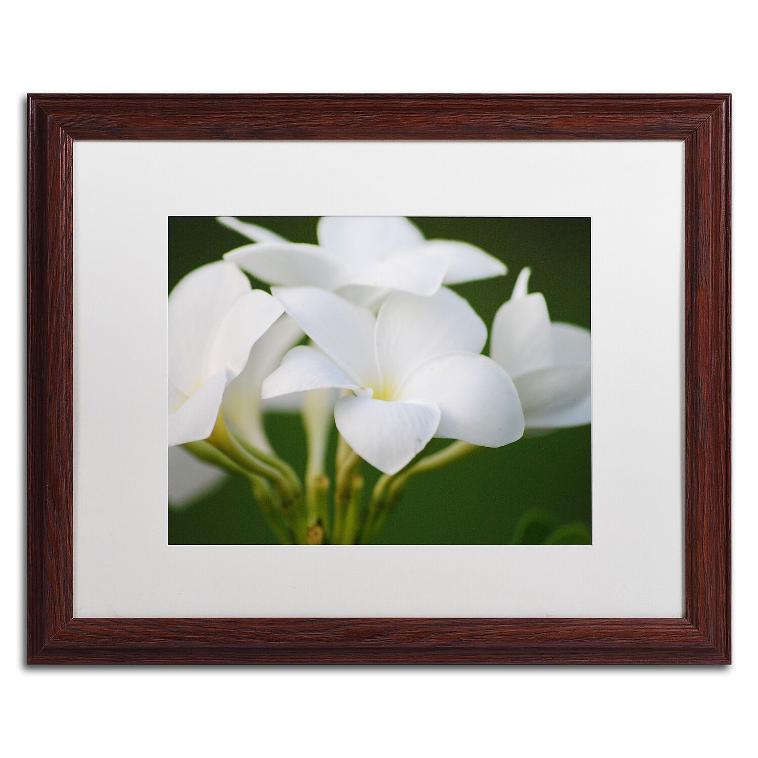 Trademark Fine Art "Picture Perfect" Canvas Art by Monica Mize, White Matte, Wood Frame