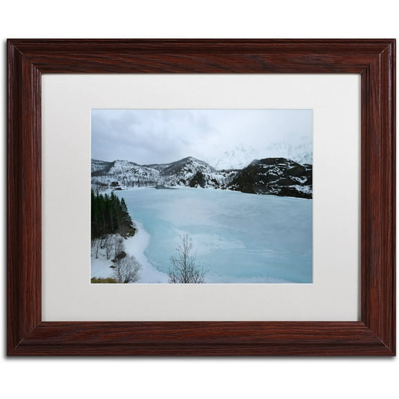Trademark Fine Art "Picture That" Canvas Art by Philippe Sainte-Laudy, White Matte, Wood Frame